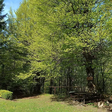 Sleme Holiday home